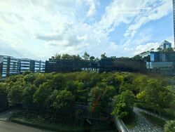 Mapletree Business City (D5), Office #456122441